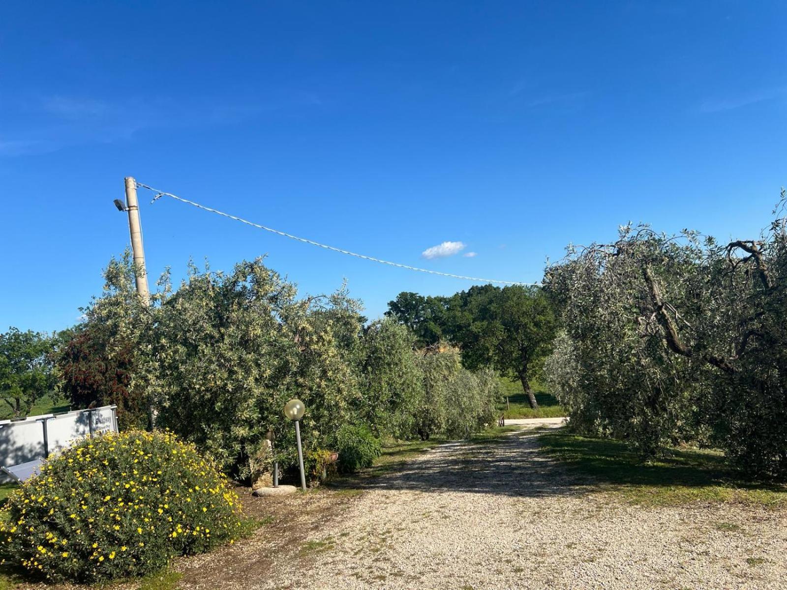 Agriturismo La Castellina Saturnia Luaran gambar